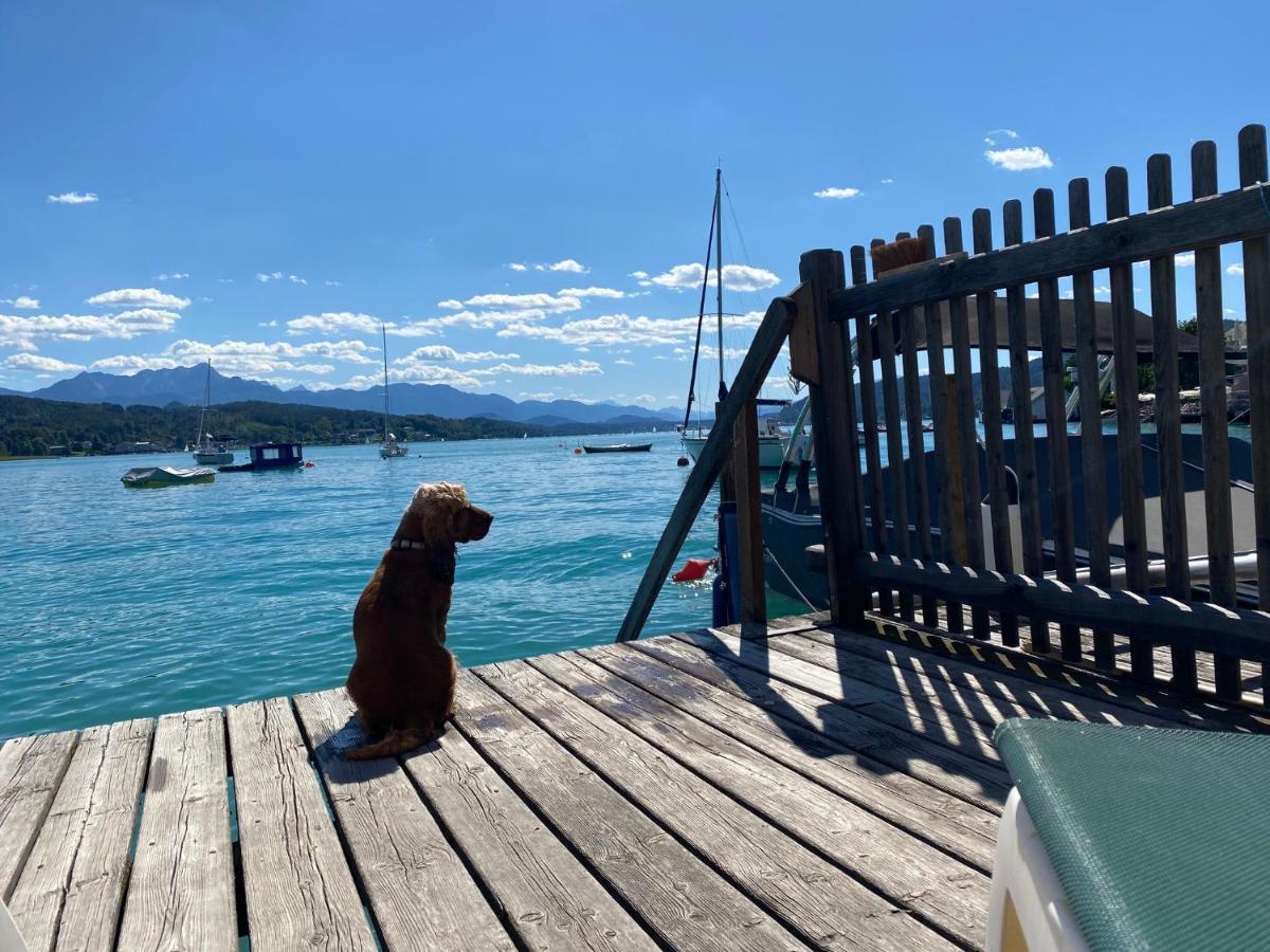 Villa Gabriela Pörtschach am Wörthersee Dış mekan fotoğraf
